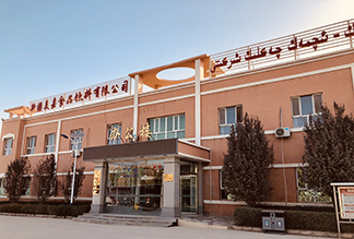 公司簡介